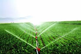 Automatic Irrigation Systems